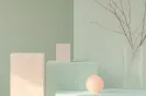 Minimalist scene with a round pink object, a rectangular block, and a vertical card against a plain wall with bare branches.